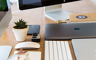 狗狗便秘怎么办 如何解决狗狗便秘的问题？铲屎官的必修课，快点补起来